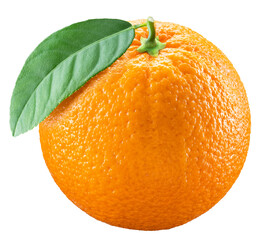 One ripe orange fruit with green leaf on white background. File contains clipping path.