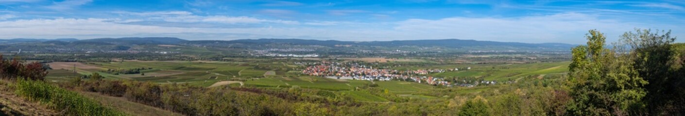 Fototapeta na wymiar Panoramic view of Rheinhessen with a view of the Rheingau / Germany