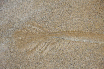 Town of Saint-Malo, a touristic icon in Brittany