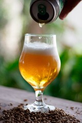 glass of beer