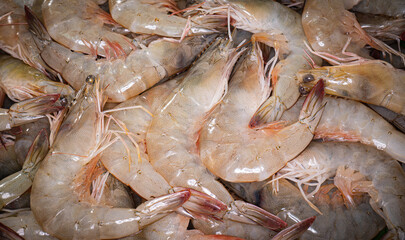Fresh seafood such as shrimp. Plum shrimp or white shrimp in bulk for steaming or grilling. Popular seafood dishes of Thailand.