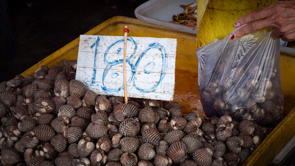 Fresh scallops at the fresh market for seafood dishes. Scallops before selling or cooking will have a lot of mud. must be cleaned first Prepare food to eat.