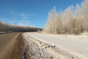 Obraz na płótnie Canvas Winter road leading uphill. Winter landscape.