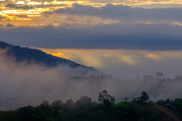 The winter morning light scene