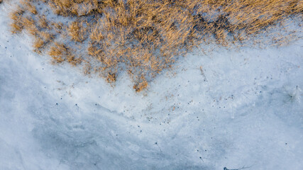 reed froze in a frozen lake