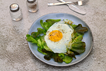 Fried egg with green salad on the plate. Concrete background.