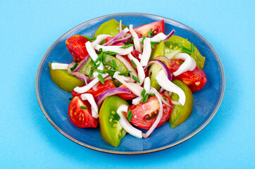 Healthy vegetable salad with tomatoes and squid pieces. Studio Photo.
