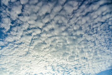 Puffy fluffy white clouds against daytime sky.