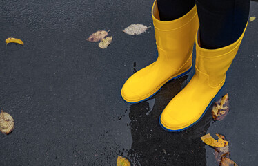 Legs in bright rubber boots on the wet asphalt.