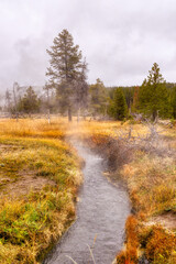Fall colors at Yellowstone National Park, Idaho, Wyoming, Bison, Geysers, Mountains, Grand Tetons