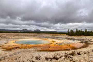 Fall colors at Yellowstone National Park, Idaho, Wyoming, Bison, Geysers, Mountains, Grand Tetons