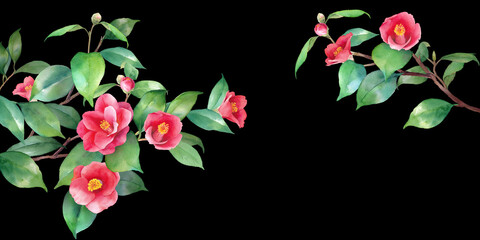 黒背景に赤い椿の水彩イラスト。左右から伸びる枝の装飾フレーム。バナー背景。ヤブツバキ。