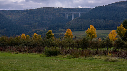 Jesień w winnicach nad Mosel (Mozelą) przy zbiorze winogron. © slawjanek