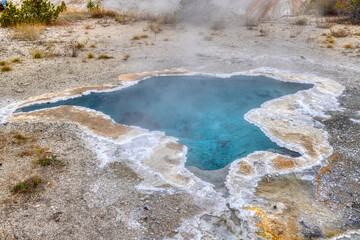 Fall colors at Yellowstone National Park, Idaho, Wyoming, Bison, Geysers, Mountains, Grand Tetons