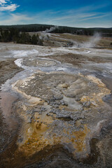 Fall colors at Yellowstone National Park, Idaho, Wyoming, Bison, Geysers, Mountains, Grand Tetons