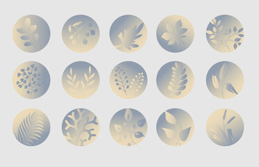 Set of round highlight covers  with abstract leaves and plants in pastel blue colors. 15 icons for social media stories, instagram, bloggers. Abstract background.