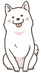 おすわり白柴フルカラー