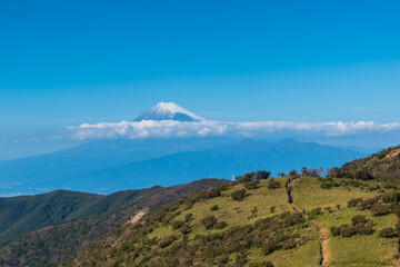 伊豆半島西伊豆スカイライン（伊豆山稜線歩道、達磨山周辺）から見える富士山