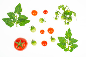 Fruits of red and green unripe cherry tomatoes on white background. Studio Photo