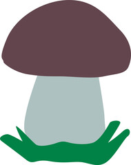 a beautiful edible mushroom
