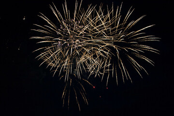 A delicate burst of fireworks in the night sky