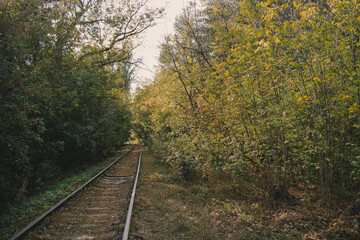 Fototapeta premium old iron rails in a colorful and mystical forest. Long railway Forest on colorful background. Nature landscape background. Panoramic landscape. Fantasy trees. Autumn forest background. Forest trees. 
