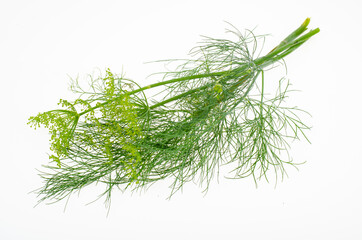 Fresh dill branches on white background. Studio Photo