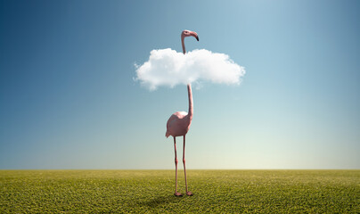 alone pink wild flamingo on green field © tankist276
