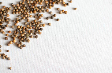 Spilled coriander seeds on white background 