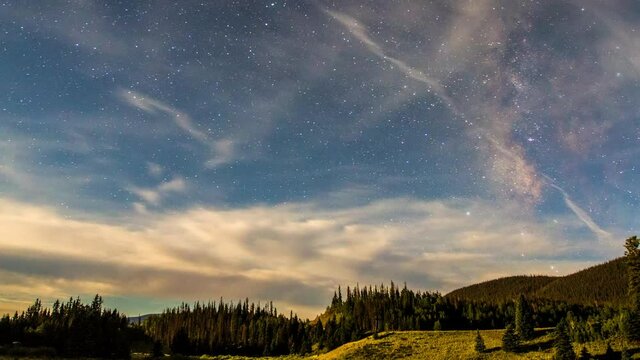 Time Lapse Lockdown Shot Of Green Trees At Rio Grande National Forest From Night To Day - Creede, Colorado