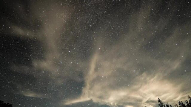 Time Lapse Tilt Up Beautiful Shot Of Sparkling Sky At Night Above Forest - Creede, Colorado