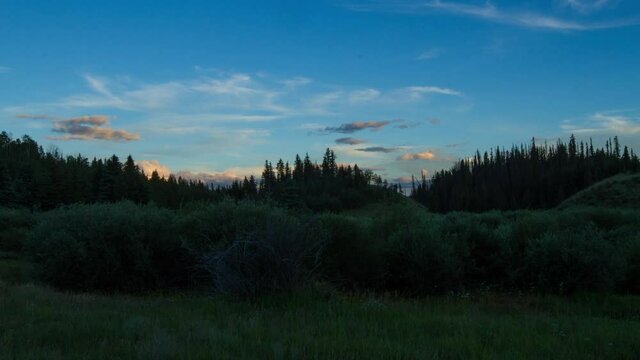 Time Lapse Lockdown Beautiful Shot Of Trees And Plants In Forest From Sunset To Evening - Creede, Colorado