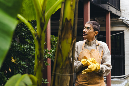 Mature mixed race woman looks at plants while working in her garden wearing an apron