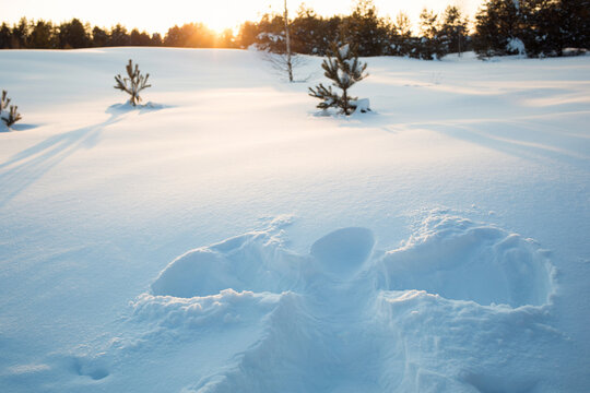 Christmas angel in snow. silhouette of man in snowdrift against background of winter forest landscape.