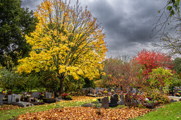 Promenade le jour des morts