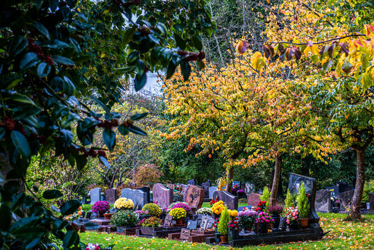 Promenade le jour des morts