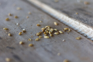 barley malt