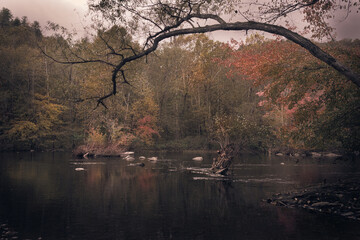 Walking quietly on the waters edge and taking it all in, this scene is as quiet and calm as it gets as the cloudy day gives it's Last Light.