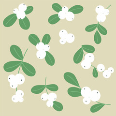 Collection of branches and berries of a snowberry for print, design, decor. Vector isolates.