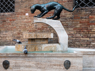 Panther Fountain or Source and Fontanina of the Contrada della Pantera in Siena, Tuscany Italy © Dietmar
