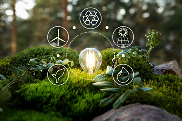 Green forest with moss and grass with lightbulb. Symbols of sustainable and eco friendly energy...