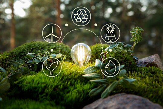 Green forest with moss and grass with lightbulb. Symbols of sustainable and eco friendly energy sources. Earth energy concept.