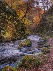 River Doon flowing through Ness Glen in Ayrshire 