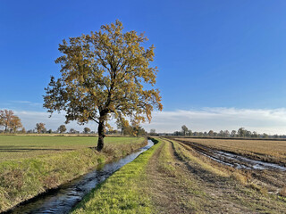 La campagna di Lombardia a Basiglio - Milano