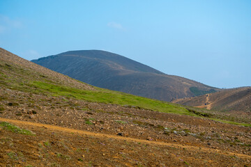 Grassy landscape of plants growing in lava rock at Fagradalsfjall Volcano Iceland