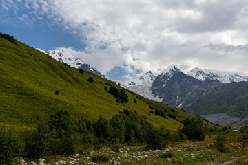 A panoramic view on the snow-capped peaks of Tetnuldi, Gistola and Lakutsia in the Greater Caucasus Mountain Range in Georgia, Svaneti Region. Hills with lush pastures, sharp peaks, hiking vibes.