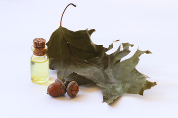 Acorn essential oil isolated on white background. acorn oil in glass bottle
