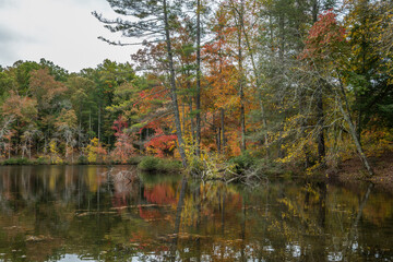 Autumn colors at the lake