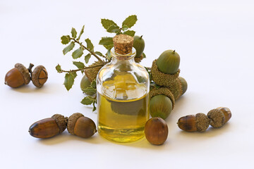 Acorn essential oil isolated on white background. acorn oil in glass bottle