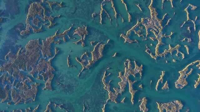 Aerial view of the marsh landscape at low tide in the Natural Park of the Marismas de Santo&ntilde;a, Victoria and Joyel in Escalante. Cantabria, Spain, Europe